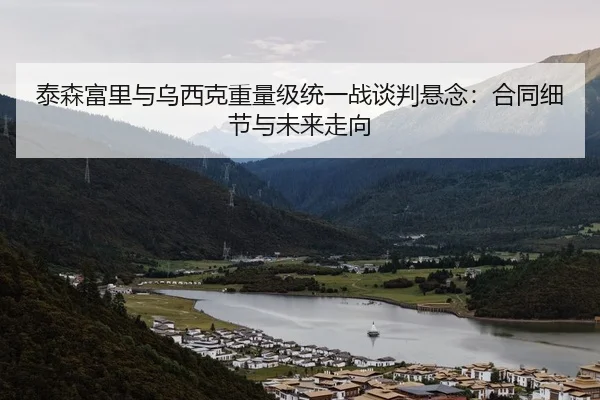 泰森富里与乌西克重量级统一战谈判悬念：合同细节与未来走向