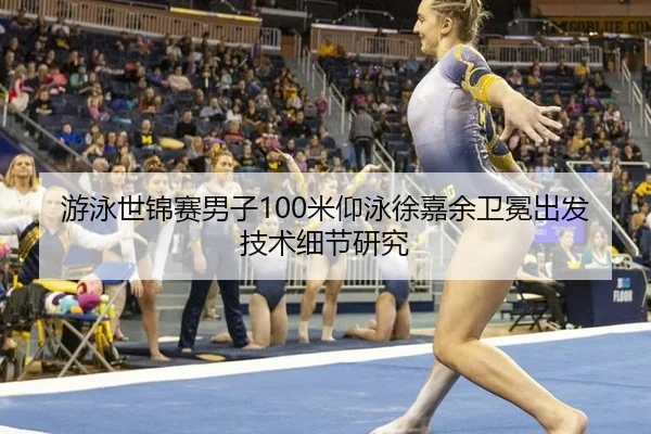 you-yong-shi-jin-sai-nan-zi-mi-yang-yong-xu-jia-yu-wei-mian-chu-fa-ji-shu-xi-jie-yan-jiu-3-444.jpg